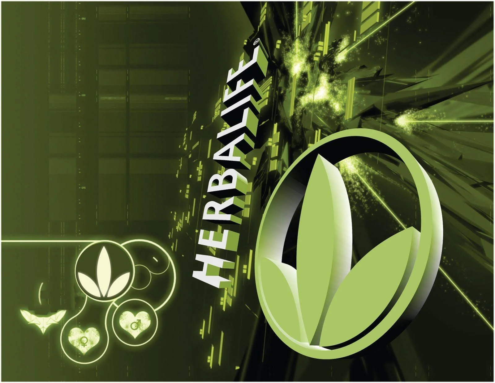 Herbalife business model